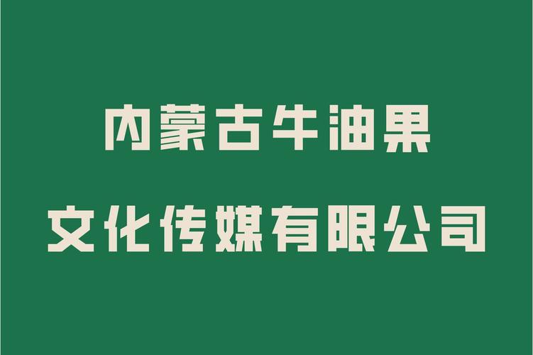 数字浪潮下的技术引擎 从咨询交流到创意软件开发的多维价值生态